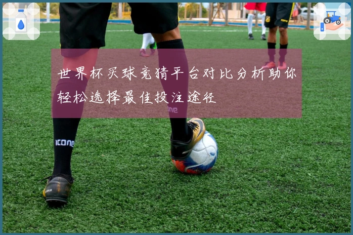 世界杯买球竞猜平台对比分析助你轻松选择最佳投注途径