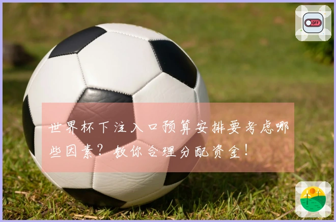 世界杯下注入口预算安排要考虑哪些因素？教你合理分配资金！