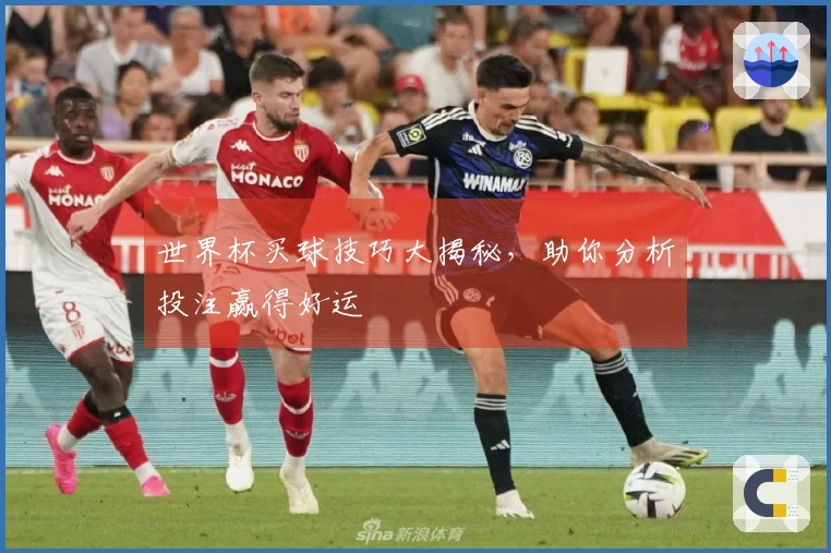 世界杯买球技巧大揭秘，助你分析投注赢得好运