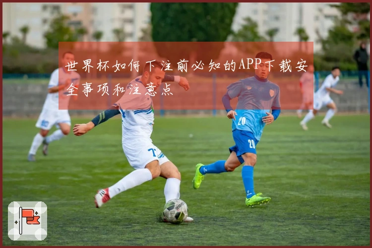 世界杯如何下注前必知的APP下载安全事项和注意点