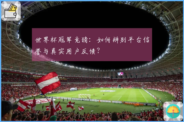 世界杯冠军竞猜：如何辨别平台信誉与真实用户反馈？