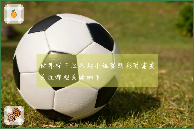 世界杯下注网站小组赛购彩时需要关注哪些关键细节