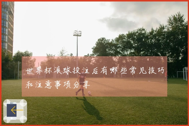 世界杯滚球投注后有哪些常见技巧和注意事项分享