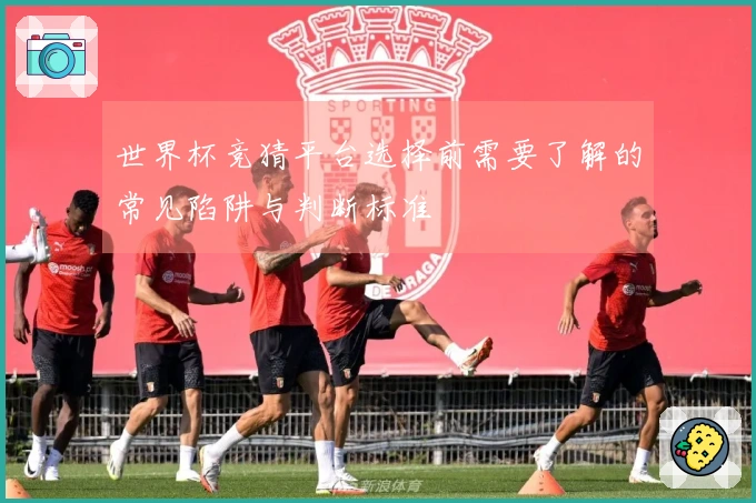 世界杯竞猜平台选择前需要了解的常见陷阱与判断标准