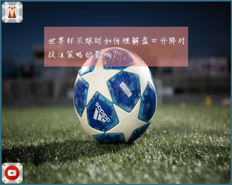 世界杯买球时如何理解盘口升降对投注策略的影响？