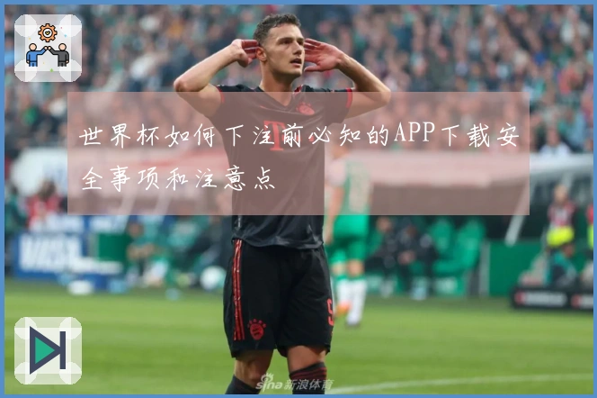 世界杯如何下注前必知的APP下载安全事项和注意点